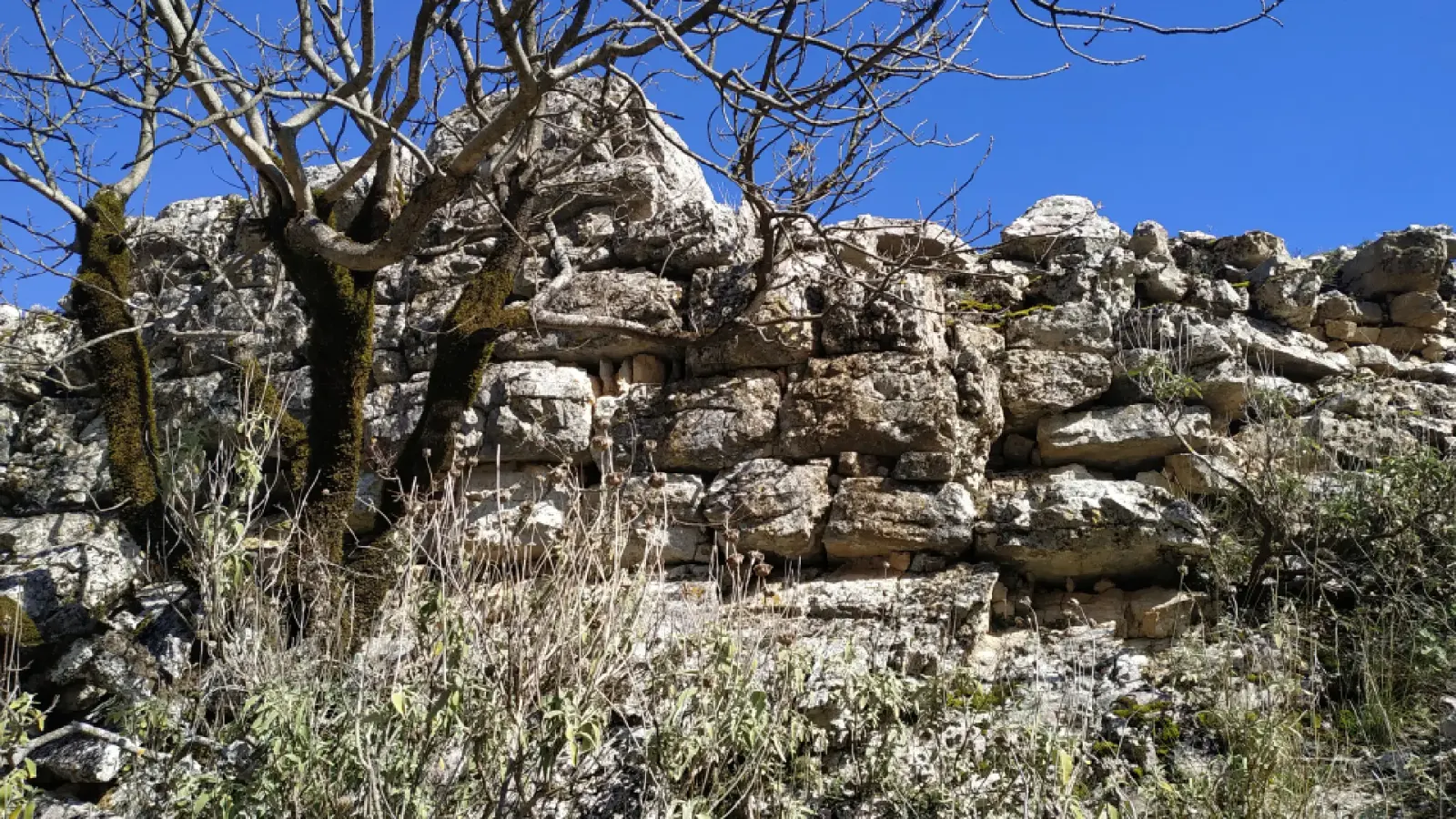 Large stacked limestone blocks of the Illyrian fortress wall with bare trees at Kala