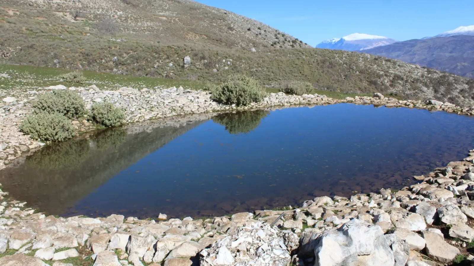 Clear pond reflecting shrubs, ringed by white rocks on the slopes of Trebeshinë