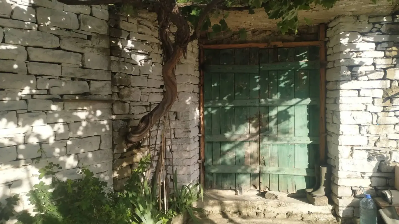 Porta di legno verde consumata in un muro di pietra imbiancato con una vecchia vite a Leskaj