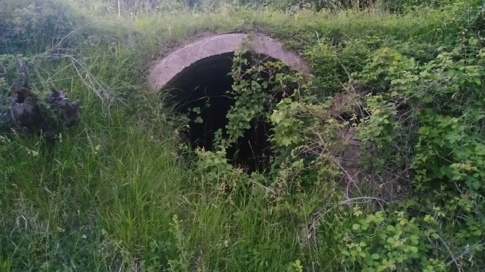 Zugewachsene steinerne Bogenöffnung, halb von Gras und Ranken verdeckt, im Dorf Xhanaj