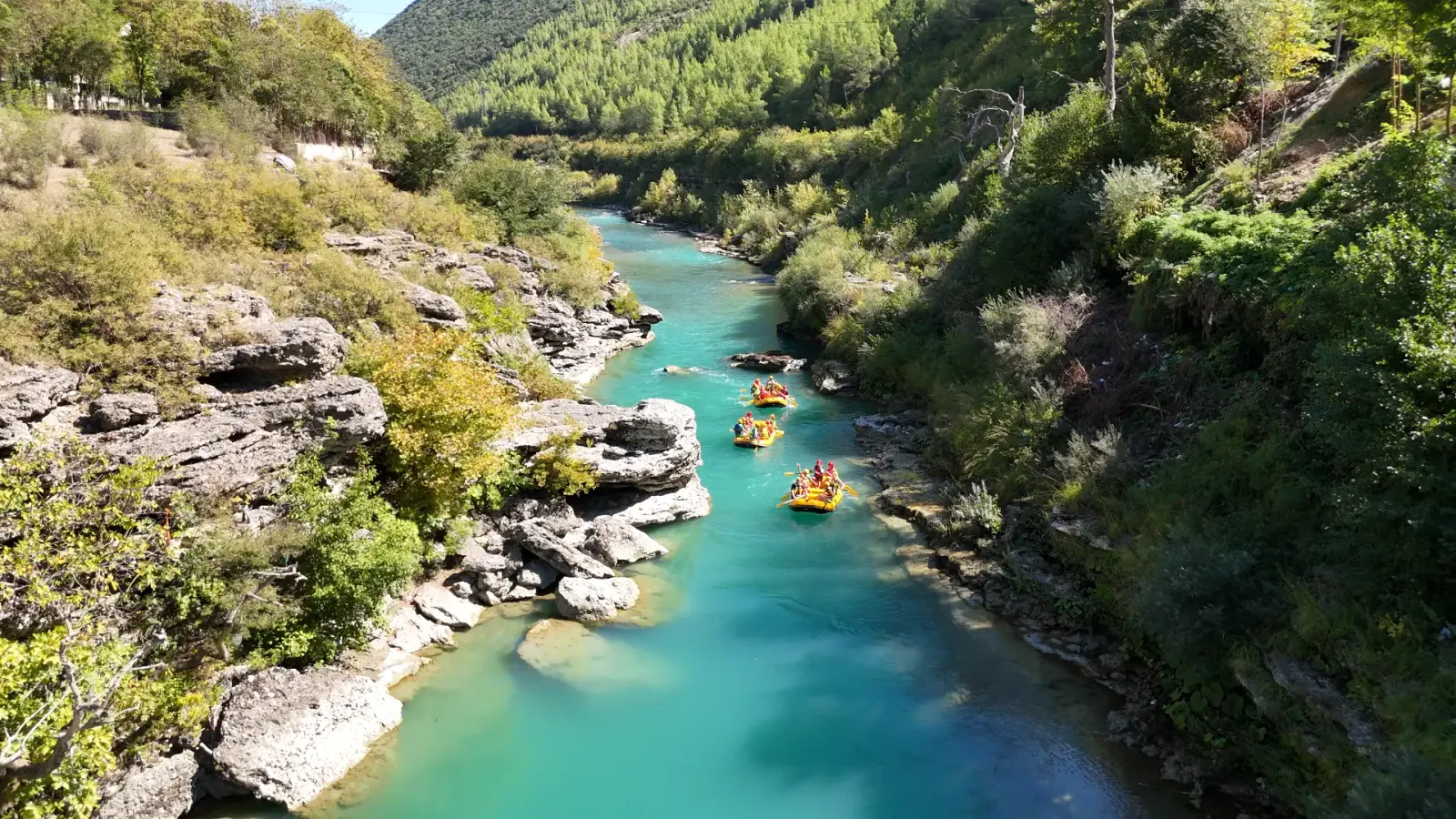 Aerial view of rafts on the turquoise Vjosa River in a green wooded gorge