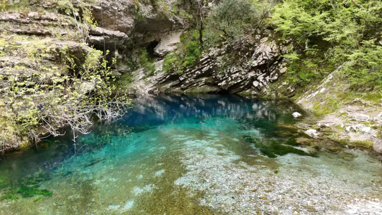 UJI I ZI — photo 3