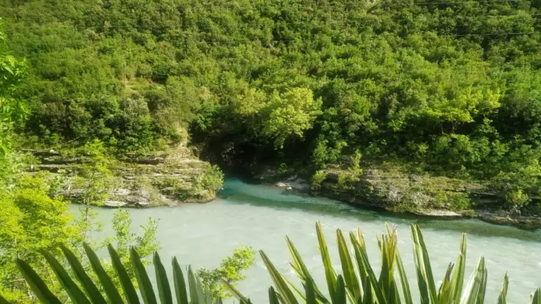 UJI I ZI — photo 5
