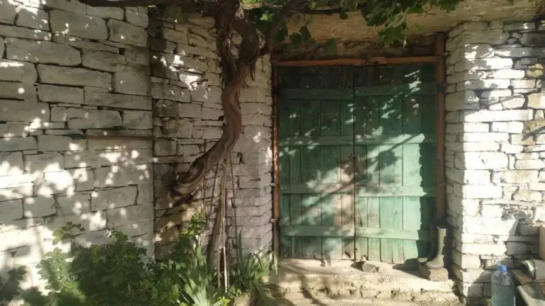 VILLAGE LESKAJ — photo 5