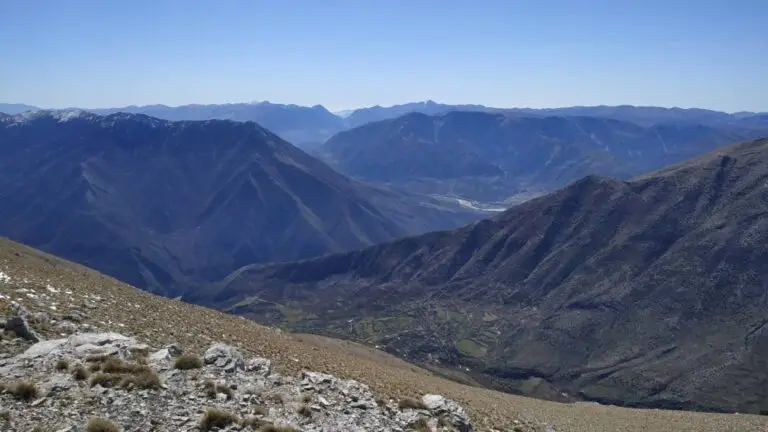 MOUNTAIN TREBESHINE — photo 4
