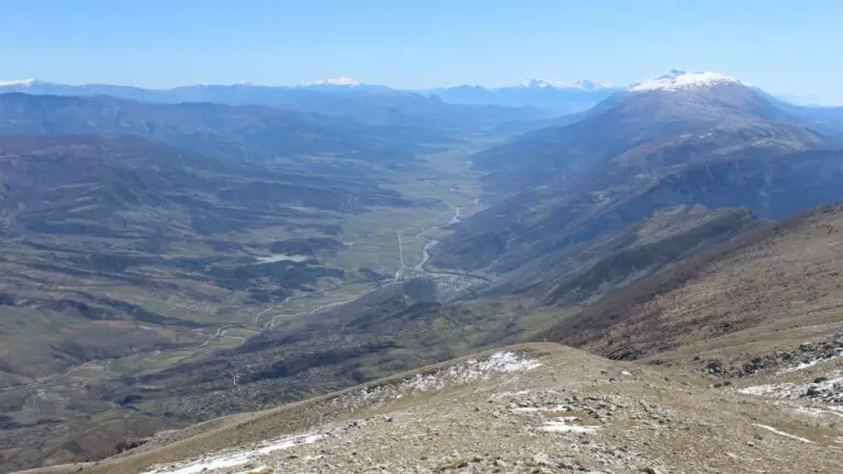 MOUNTAIN TREBESHINE — photo 2