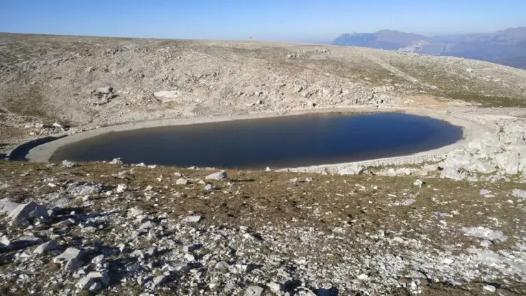MOUNTAIN TREBESHINE — photo 1
