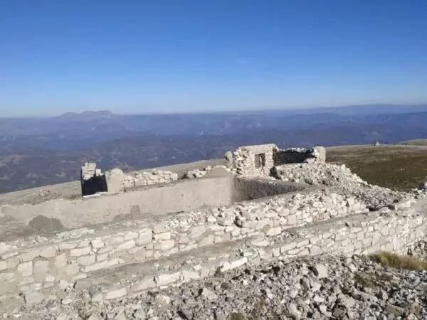 MOUNTAIN TREBESHINE