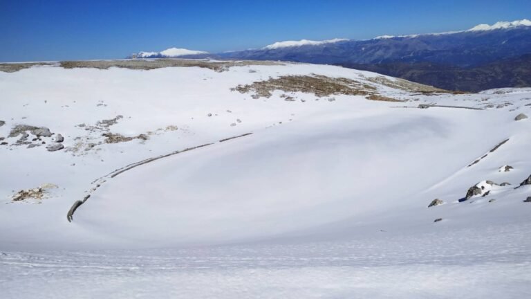MOUNTAIN TREBESHINE — photo 6