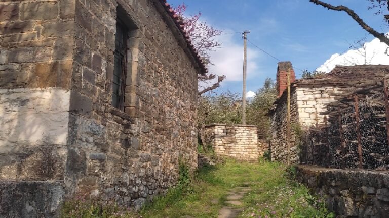 VILLAGE TOLAR — photo 6