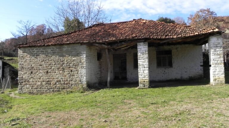 VILLAGE KENAJ — photo 5