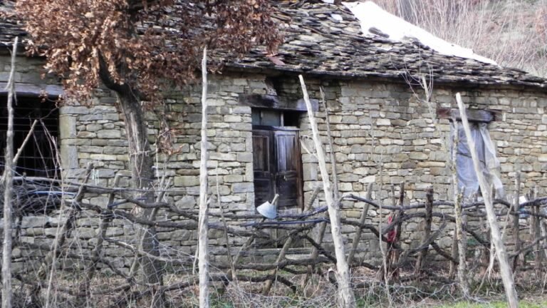 VILLAGE KENAJ — photo 4